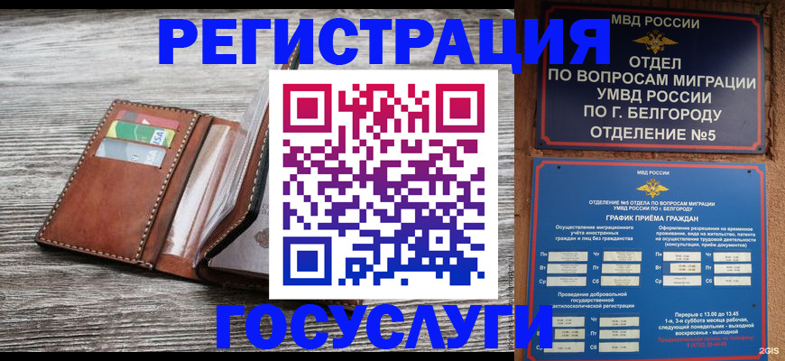 временная регистрация гарантия в Шали